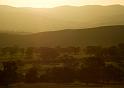 evening light 2